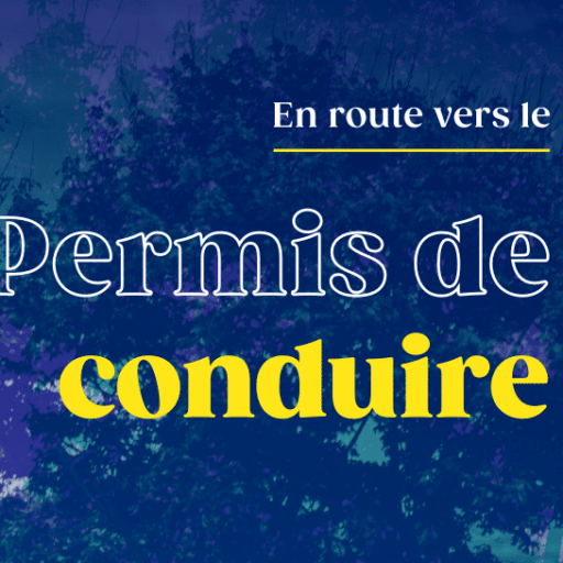 Permis de conduire